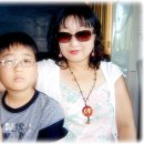 너구리의 피난처 이미지