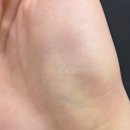 (주)성신상사 | 열심히와 방탕이 공존한 한 주 일기