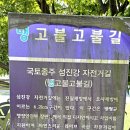 진월 돈탁마을 숲 | 남파랑길 48코스 - 섬진강을 따라 전라도 광양시로 넘어가다