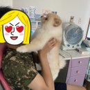 공군 아저씨의 휴가티비2🥹