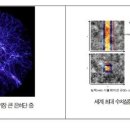 LK-99 일어난다. 표준연 시뮬결과 이미지