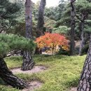 이웃 행정사 사무소 이미지