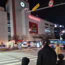 잊혀지는 것들에 대하여