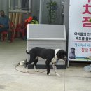 고신농장 이미지