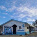 세종다실 커피앤맥주 | 26.02 내돈내산 세종 브런치 가게 추천 🥙) 세종 위스위시, 반려동물 동반