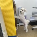 멍's살롱 이미지