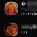 댕크닉 | 25년도 마무리 일상_ 다들 새해 복 많이 받으세요