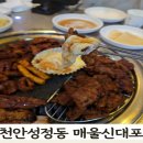 매울신대포앤막창 | 천안 성정동 매울신대포 (구불대포) 불갈비·불막창·불껍데기 치즈 폭발! 노포감성 가득한 모임맛집