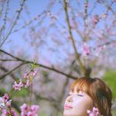 위드포토