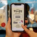 몰리스펫샵 이미지