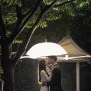 일주일동안 찾다가 드디어 만난 가성비갑 마노아H dvd 후기