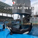중앙수족관 - 진주시 촉석로 208 | 나고야항 수족관 입장권 예매 후기 범고래 돌고래쇼 나고야 가족여행 코스