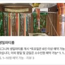 돈베기 이미지