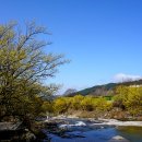 새부산