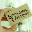 한누리태권도 이미지