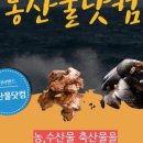 신토불이약초·채소