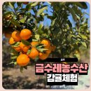 금수레농수산