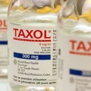 라파엘의원 이미지