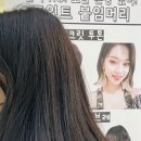 살롱데이즈 이미지