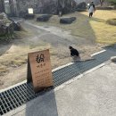 다우리닭강정 이미지