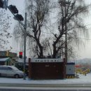 동화타이어 이미지