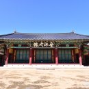 중본 이미지