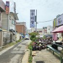 보령난