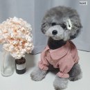 러블리하개 | [강아지옷] 강아지 봄옷 블라우스 한벌로 러블리하개
