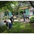 조동일농장 이미지