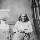 피어스와 시애틀 이미지