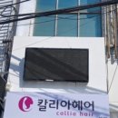 칼리아헤어 네이버블로그
