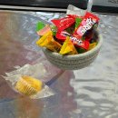 뽑뽀랜드 | 2025｜11월 첫번째 일상공유