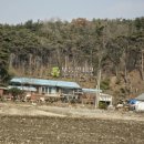 충남 서산시 운산면 용장리 / 단독주택 농가주택 촌집 시골집 귀농주택 / 1 이미지