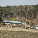 충남 서산시 운산면 용장리 / 단독주택 농가주택 촌집 시골집 귀농주택 / 1 이미지