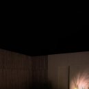 스테이 수림 이미지