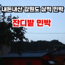 용화민박 이미지
