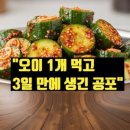 건강한 맘스푸드 | 맘스터치 후덕죽 셰프 컬렉션 솔직 후기! 후덕죽 싸이버거 등 3종 맛과 가격 총정리