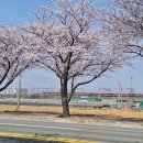 신례원 버스정류장 이미지