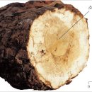 이규선경희한의원 이미지