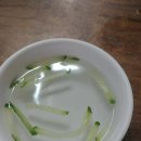 양지함박왕돈까스 이미지