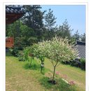 클라라한옥민박