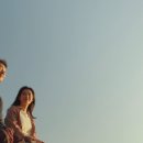 나의 해방일지 이미지