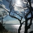 남쪽바다민박 이미지