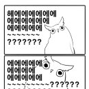 금호자동차 이미지