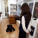 한국예술영재교육원 이미지