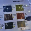 이미지 안경 | 대전시력검사잘하는곳 태평동 안경점에서 빛번짐 눈부심 해결한 후기 이미지안경태평점