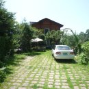 분당-146 이미지