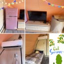 11650-7-42-6 | 👉 시흥 판타스틱캠프닉 후기 | 아이랑 가기 좋은 글램핑 카라반 피크닉 추천 (42살 생일)💛