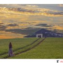 천북농장 이미지