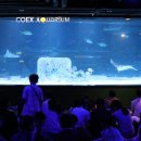 아쿠아리움 이미지